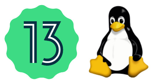 13